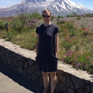 Icebreaker wool dress